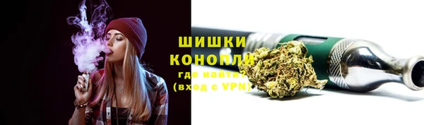 ГАЛЛЮЦИНОГЕННЫЕ ГРИБЫ Алзамай