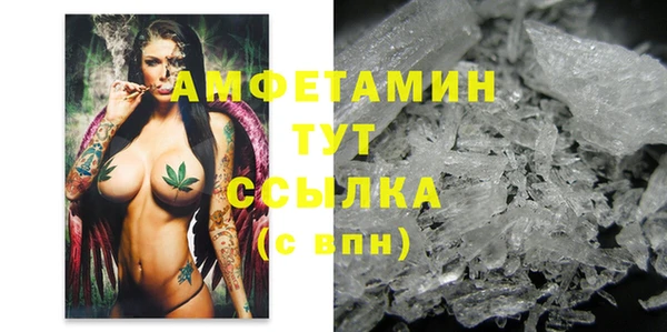 ГАЛЛЮЦИНОГЕННЫЕ ГРИБЫ Алзамай